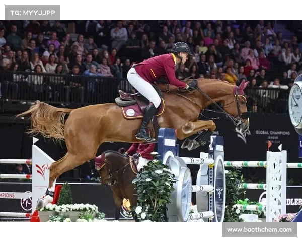 国际马术锦标赛